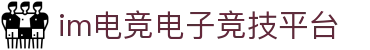 im电竞·(中国)电子竞技平台